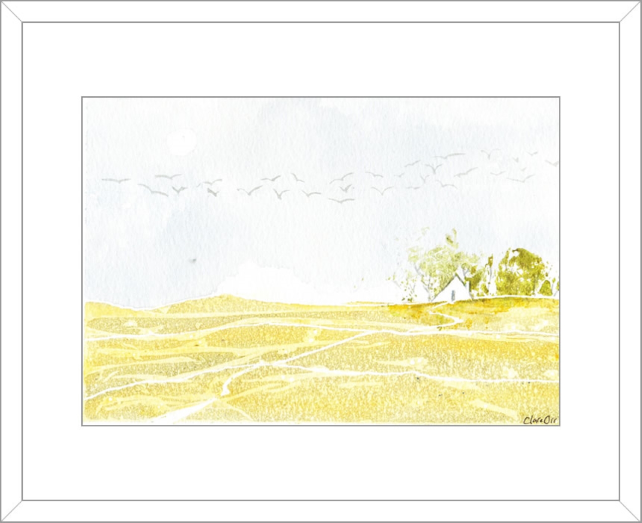 Birds Above