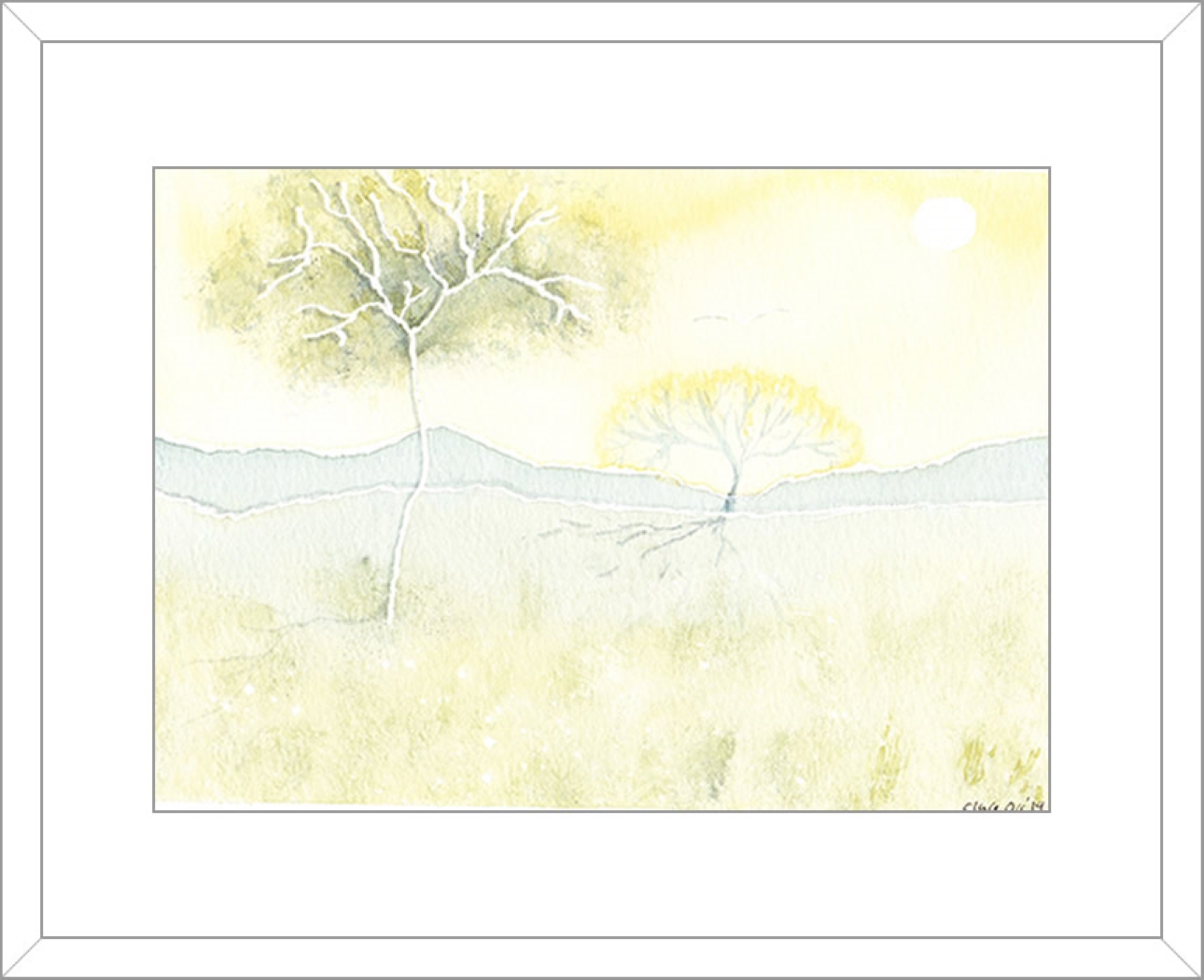 Evening Shadow
