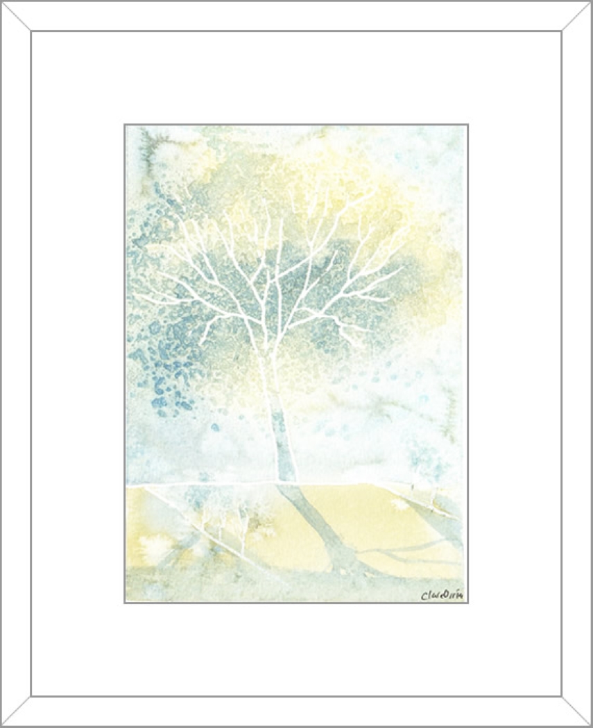 Tree Shadow