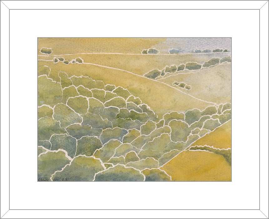 Sunset Wood