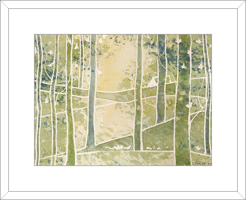 Woodland Grove