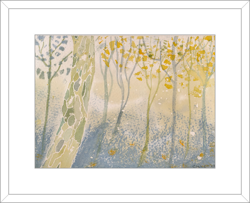 Mottle Tree